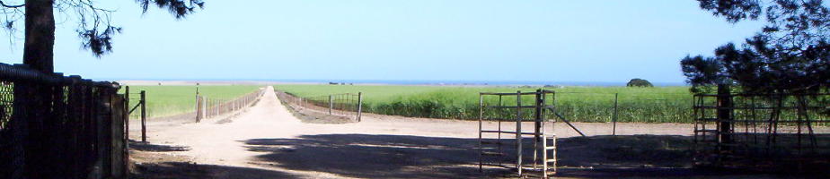 An Image Slideshow